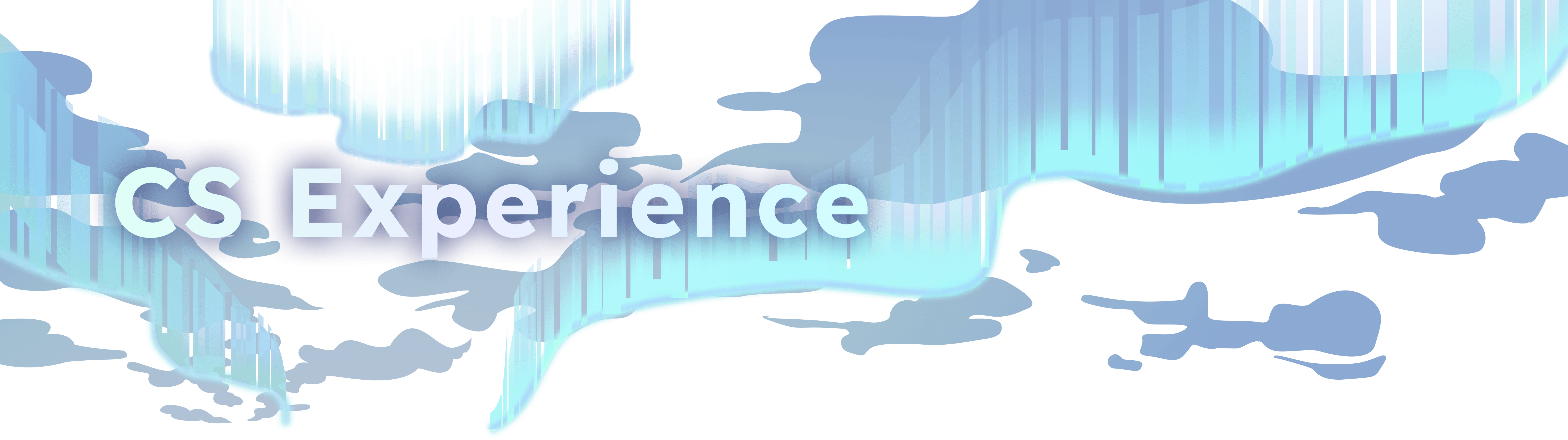 CS Experience