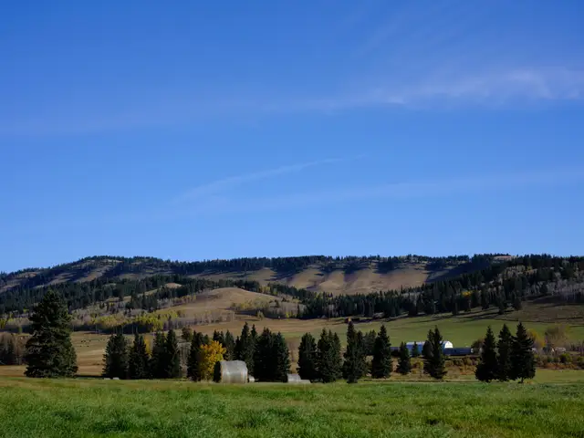 Trip to Alberta, DSCF7356.jpg