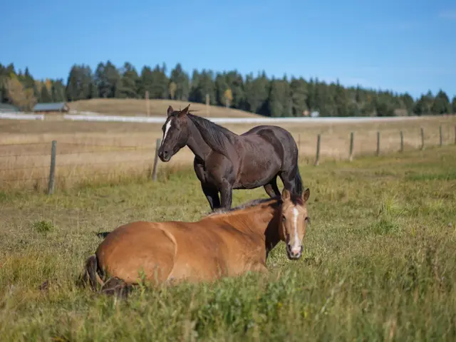 Trip to Alberta, DSCF7379.jpg