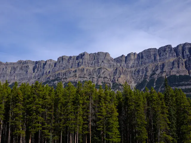 Trip to Alberta, DSCF7782.jpg